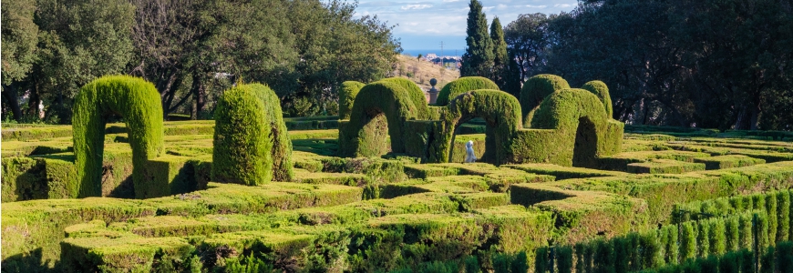 Aplicatie arte topiary