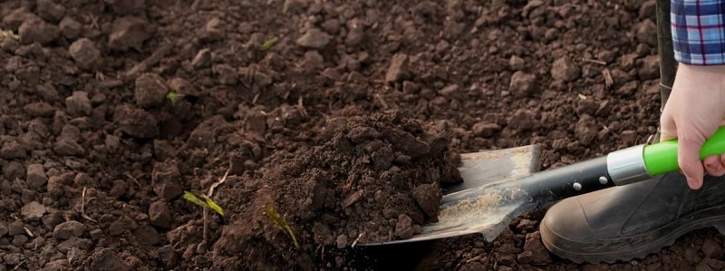 Pregatire teren pentru insamantare gazon