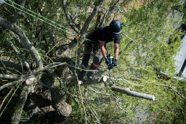 Drujba pentru arbori CS1200E