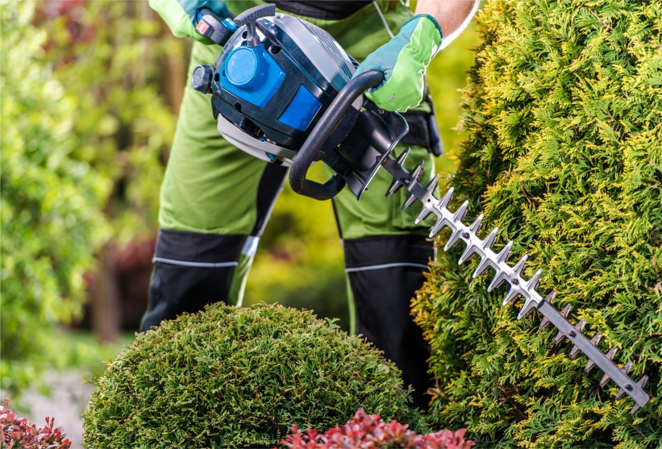  trimmer electric pentru intretinerea arbustilor ornamentali 