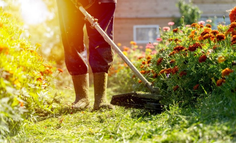 motocoasa electrica ergonomica utilizata in gradina