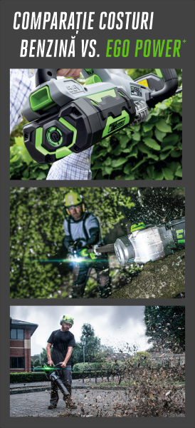 Comparatie benzina baterii