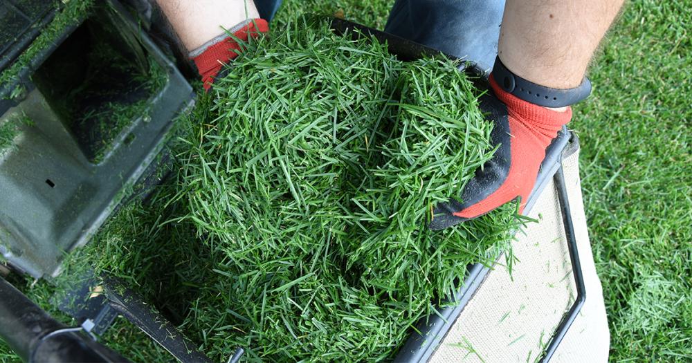 Da viata gradinii din visurile tale cu masina potrivita de tuns iarba