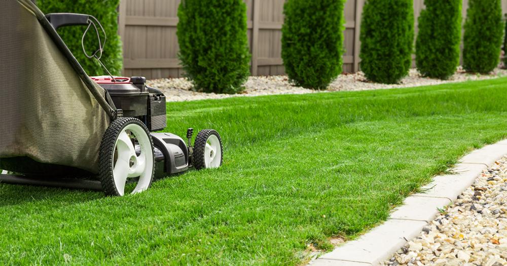 Da viata gradinii din visurile tale cu masina potrivita de tuns iarba