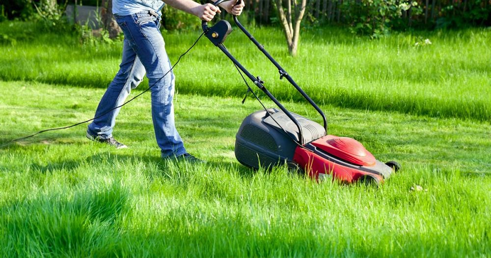 Da viata gradinii din visurile tale cu masina potrivita de tuns iarba
