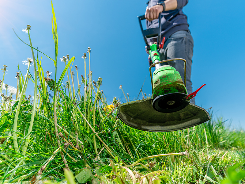 Ghidul complet privind alegerea motocoasei pentru suprafete mari: afla care sunt criteriile de selectie si produsele recomandate pentru ingrijirea gradinii