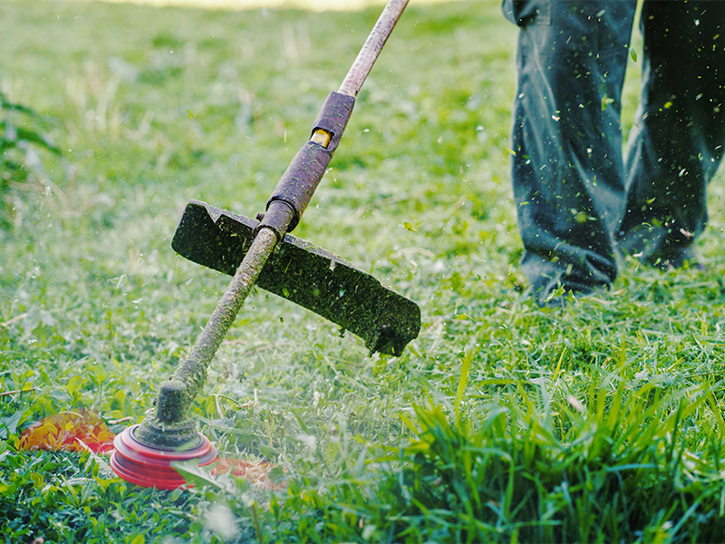 Ghidul complet privind alegerea motocoasei pentru suprafete mari: afla care sunt criteriile de selectie si produsele recomandate pentru ingrijirea gradinii