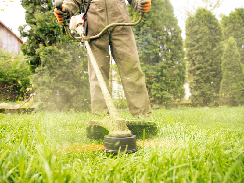 Ghidul complet privind alegerea motocoasei pentru suprafete mari: afla care sunt criteriile de selectie si produsele recomandate pentru ingrijirea gradinii