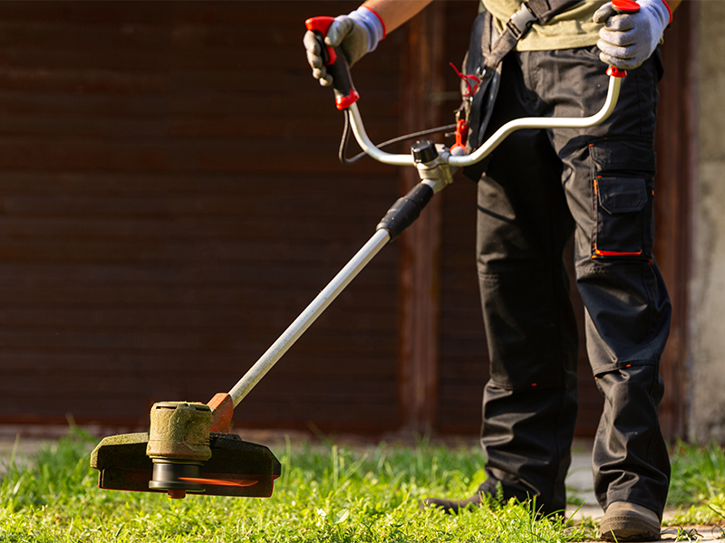 Ghidul complet privind alegerea motocoasei pentru suprafete mari: afla care sunt criteriile de selectie si produsele recomandate pentru ingrijirea gradinii