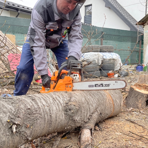 Casa si gradina - campanie 2026