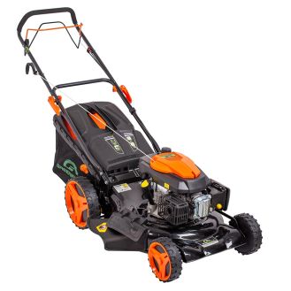 Masina de tuns gazonul cu autopropulsie Greenfield G-MTG531ARW-T8, 4. 4 cp, benzina, 173 cmᶟ, 52.5 cm , 7 trepte taiere, 67 l sac colector