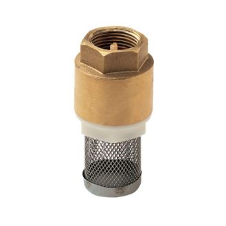 Sorb pompe de suprafata 2001857, filet 1 1/4", supapa cu arc