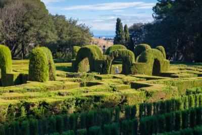 Arta topiary: ce trebuie sa stii daca vrei sa oferi servicii premium de modelare a gardurilor vii 