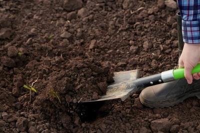 Pregatirea terenului pentru gazon: alegerea utilajelor potrivite pentru o lucrare eficienta