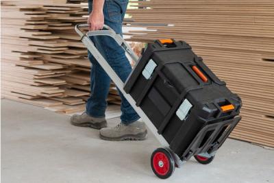 Cum alegi cel mai bun carucior pentru transport