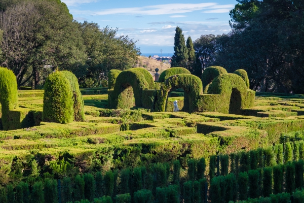 Arta topiary: ce trebuie sa stii daca vrei sa oferi servicii premium de modelare a gardurilor vii 